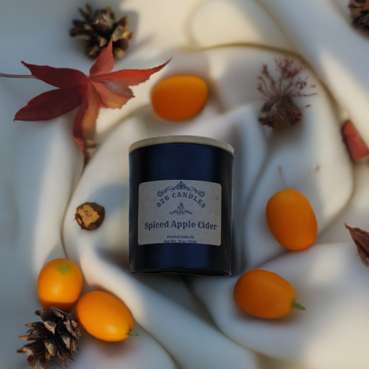 Spiced Apple Cider 11 oz candle, gift for mom, gift for her, fall decor, thanksgiving decor