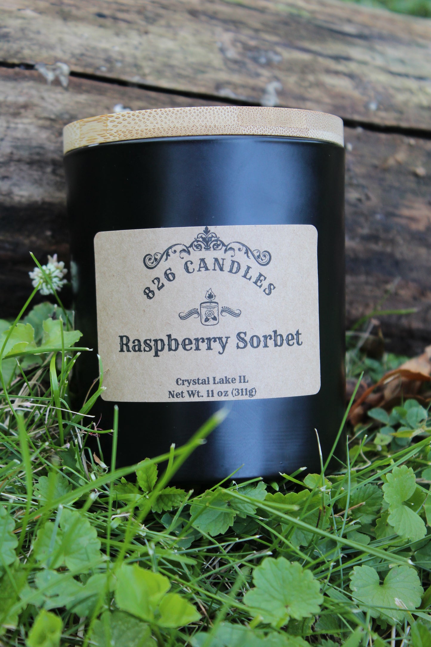 Raspberry Sorbet scented 11 oz candle, gift for her, gift for mom, best friend gift.