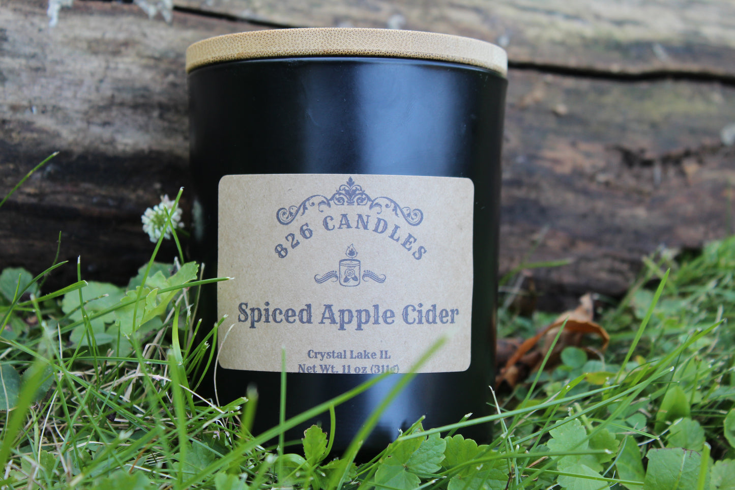 Spiced Apple Cider 11 oz candle, gift for mom, gift for her, fall decor, thanksgiving decor