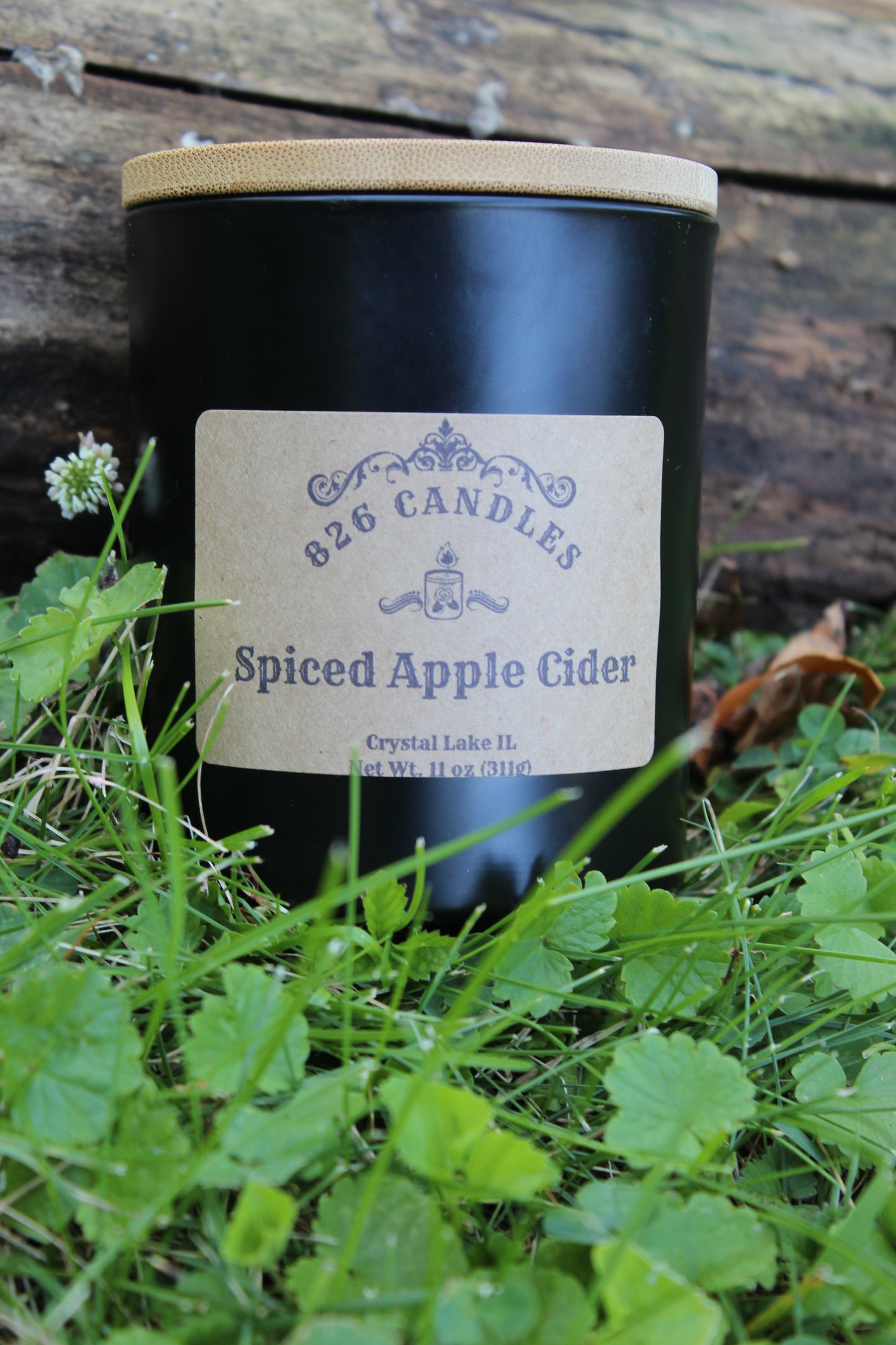Spiced Apple Cider 11 oz candle, gift for mom, gift for her, fall decor, thanksgiving decor